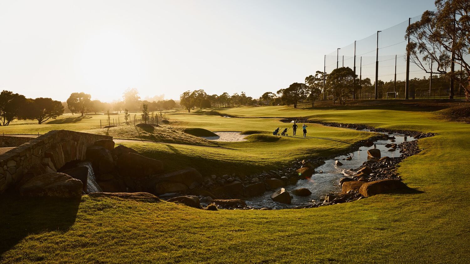 Field, Nature, Outdoors, Person, Golf, Golf Course, Sport, Animal, Bird