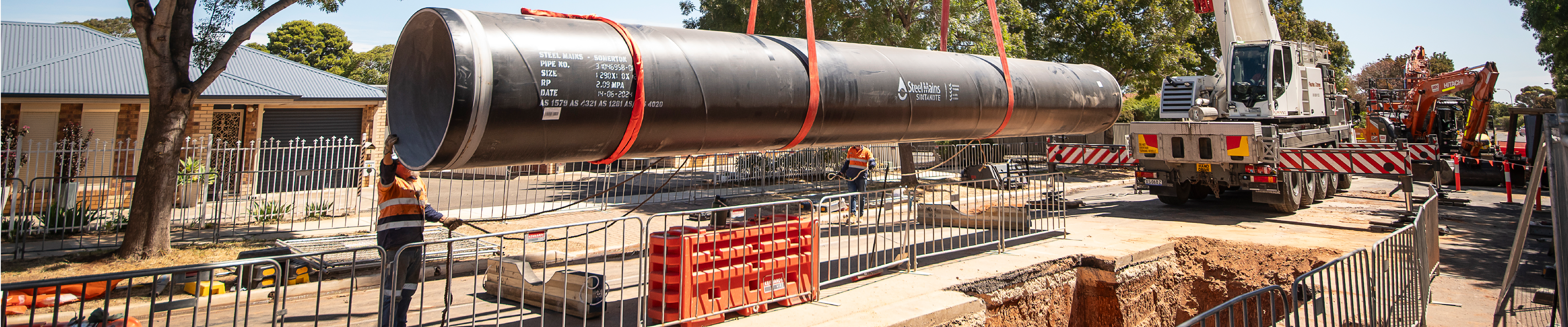 Person, Clothing, Glove, Car, Transportation, Vehicle, Plant