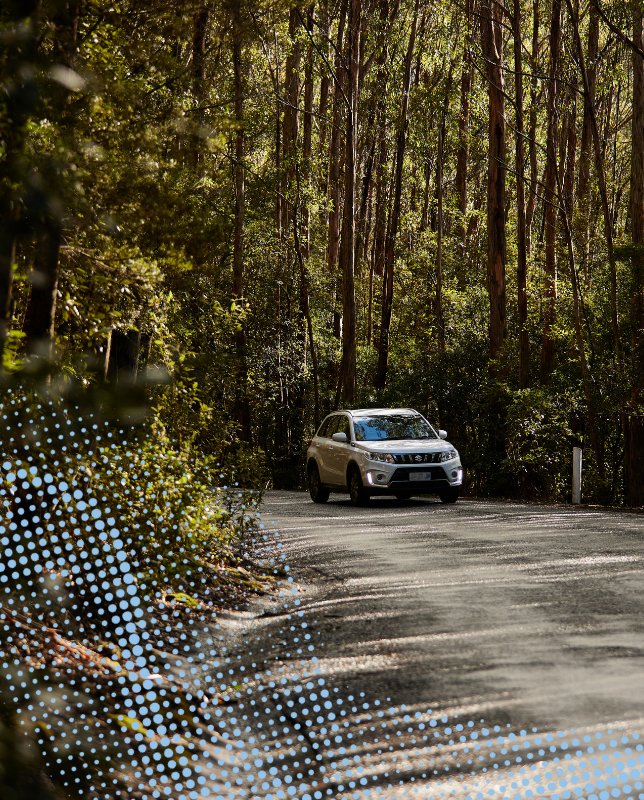 Car, Vehicle, Road, Tarmac, Spoke, Alloy Wheel, Wheel, Adventure, Tree, Gravel