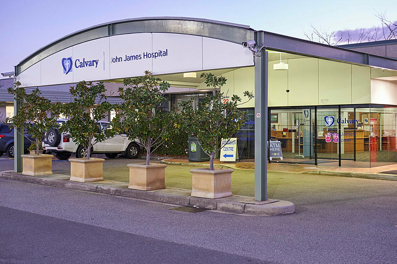 Plant, Potted Plant, Car, Vehicle, Car Dealership, Shop, Outdoors, Desk, Planter, City