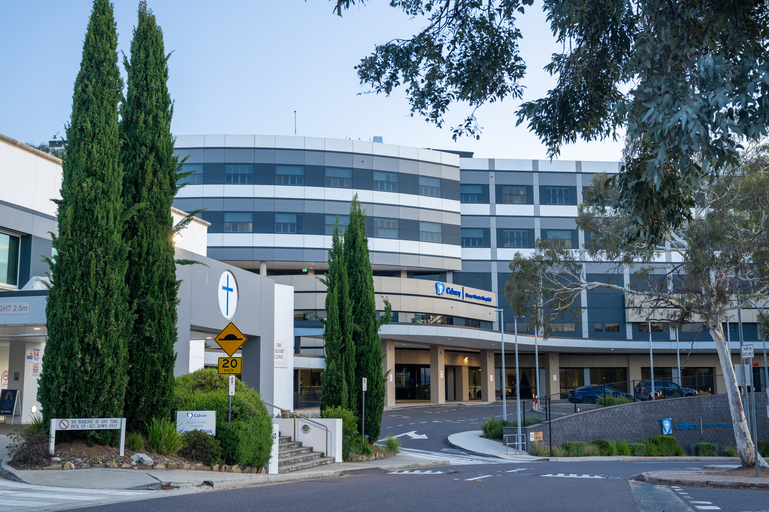 Office Building, Tree, City, Fir, Car, Urban, Conifer, Pine, Campus, Road