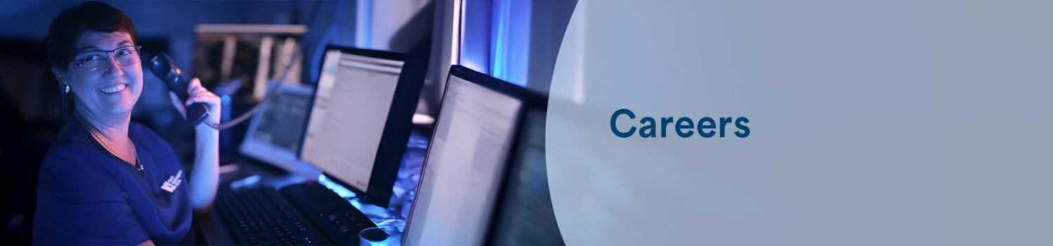 Computer, Pc, Computer Hardware, Monitor, Screen, Adult, Female, Person, Woman, Laptop