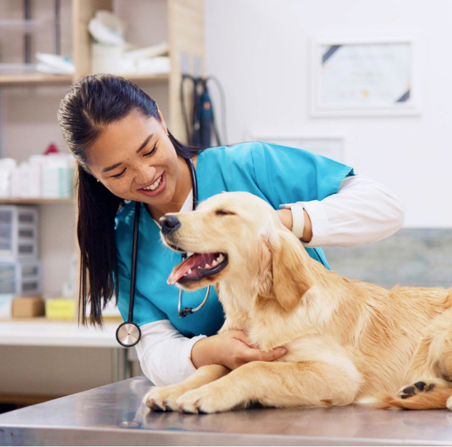Adult, Female, Person, Woman, Doctor, Dog, Pet, Veterinarian, Face, Head