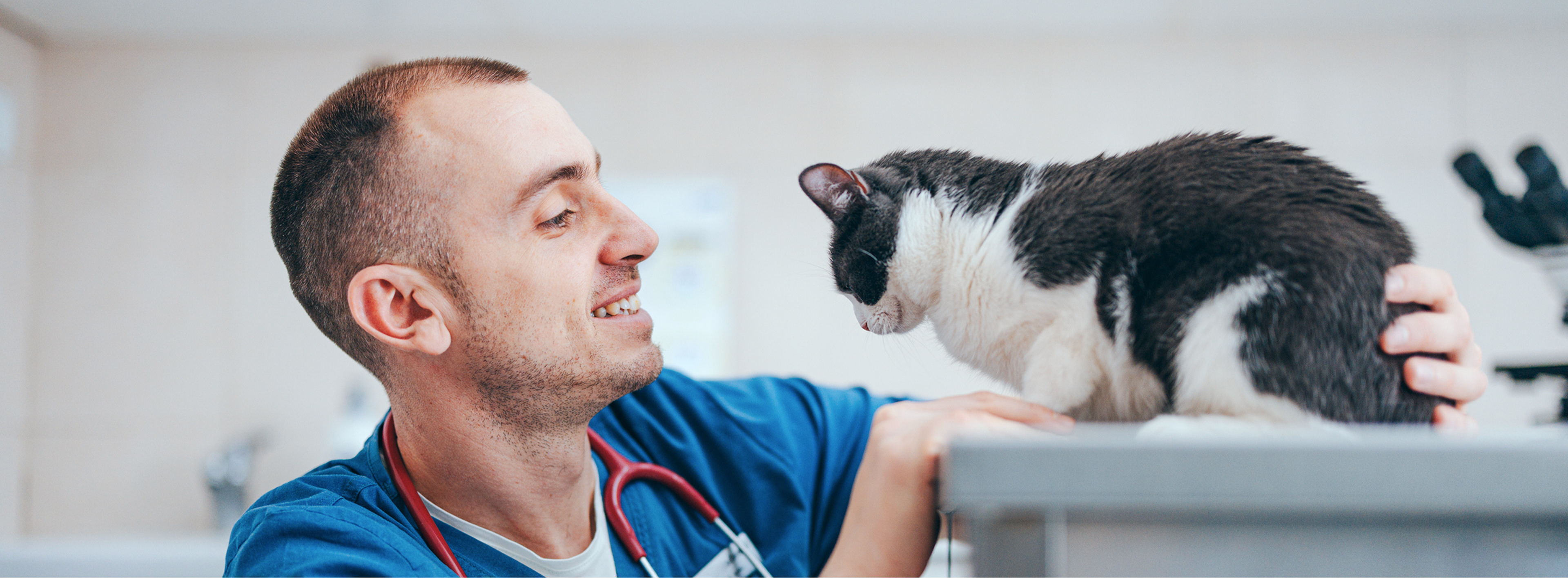 Doctor, Person, Adult, Male, Man, Veterinarian, Cat, Mammal, Pet, Face