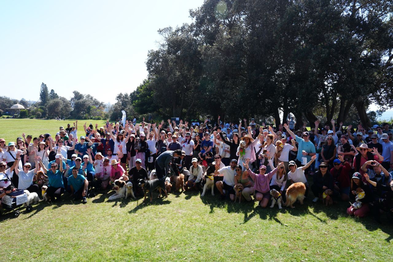 Grass, Park, People, Person, Tree, Crowd, Vegetation, Baby, College, Dog