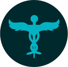 VP_Icon_Medical_Slate.png