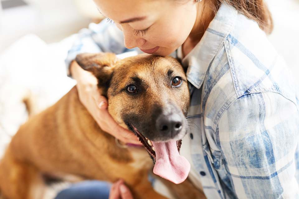 Doctor, Person, Animal, Canine, Mammal