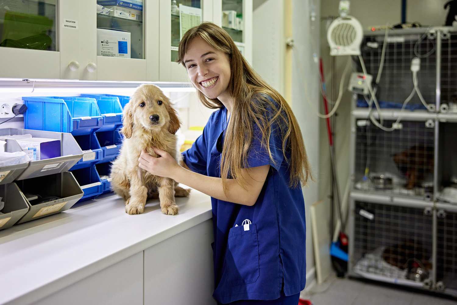 Female, Girl, Person, Teen, Dog, Mammal, Pet, Doctor, Veterinarian, Face