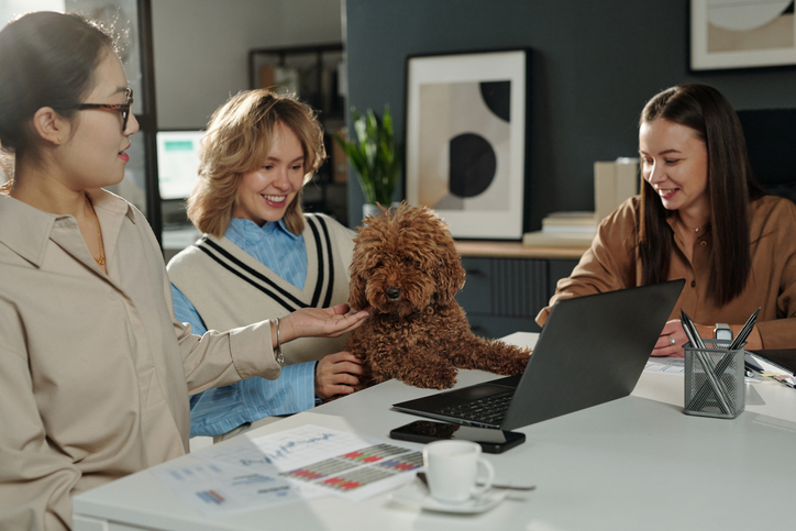 Adult, Female, Person, Woman, Laptop, Cup, Plant, Dog, Happy, Mobile Phone