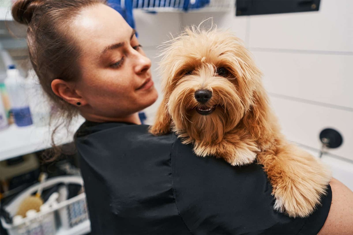 Adult, Female, Person, Woman, Doctor, Veterinarian