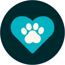 VP_icon_Vet_Care_Slate.png