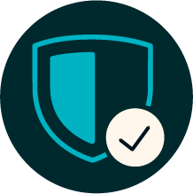VP_icon_Protect_Slate.png