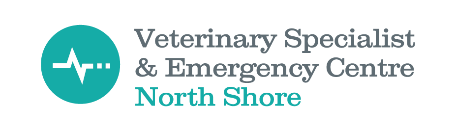 Logo, Text
