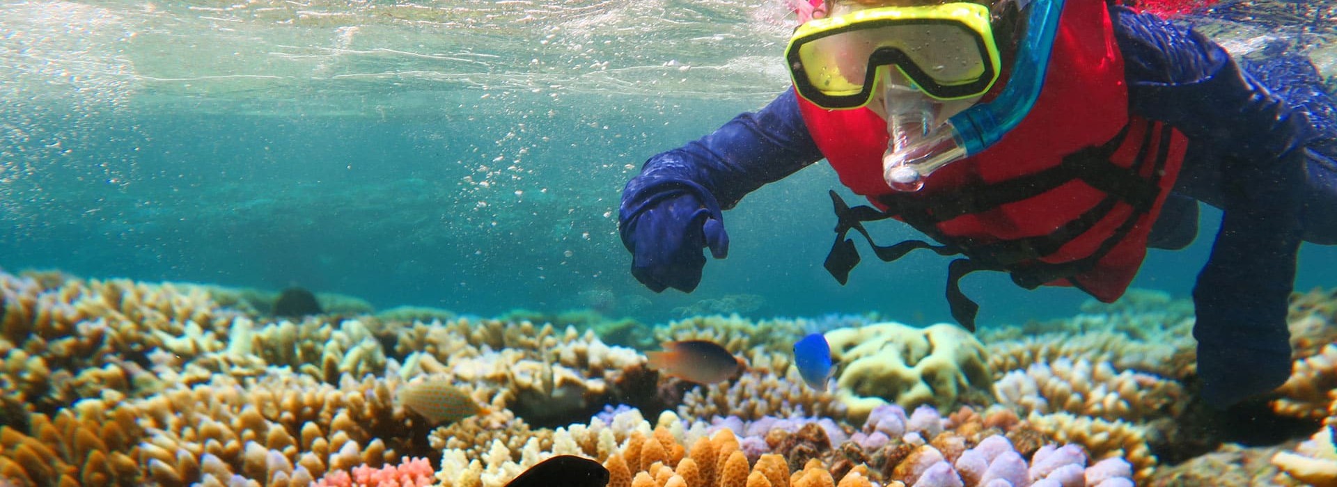 Nature, Outdoors, Water, Underwater, Reef, Sea, Person, Fish, Swimming, Aquatic