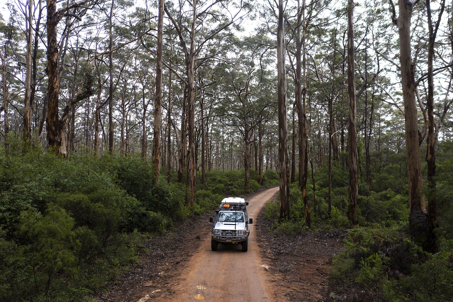 Gravel, Road, Tree, Car, Vehicle, Adventure, Offroad, Wheel, Vegetation, Outdoors