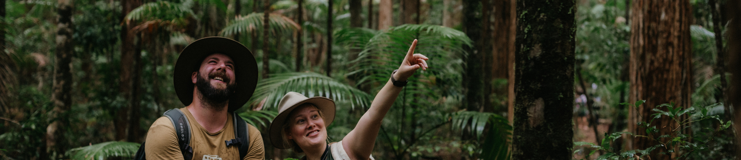 Land, Rainforest, Tree, Vegetation, Jungle, Hat, Adult, Male, Man, Person