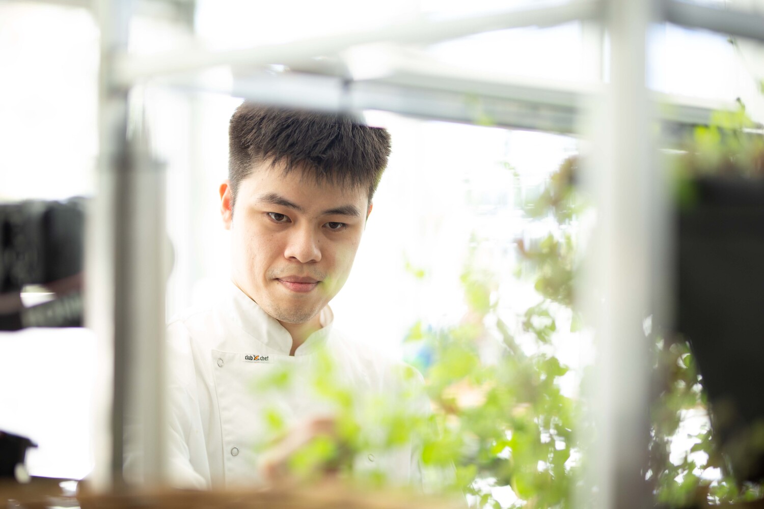 Face, Head, Person, Smile, Shirt, Adult, Male, Man, Photography, Portrait