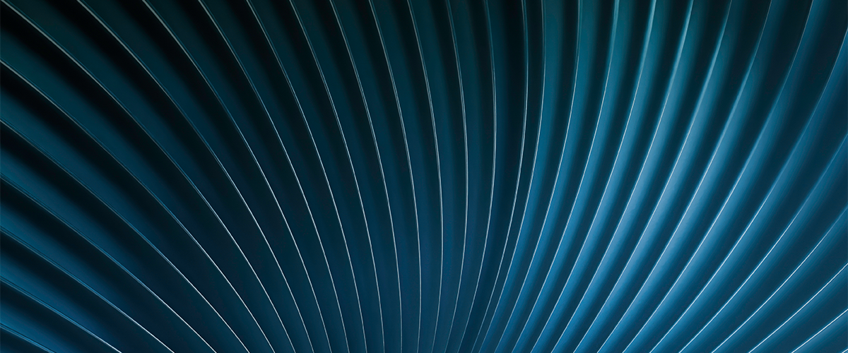 Plant, Pattern, Blue