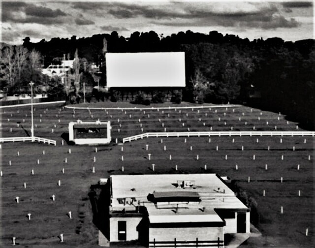 Cinema, People, Person, Screen, Sheep, Bird, Amphitheatre, Indoors, Outdoors, Airplane