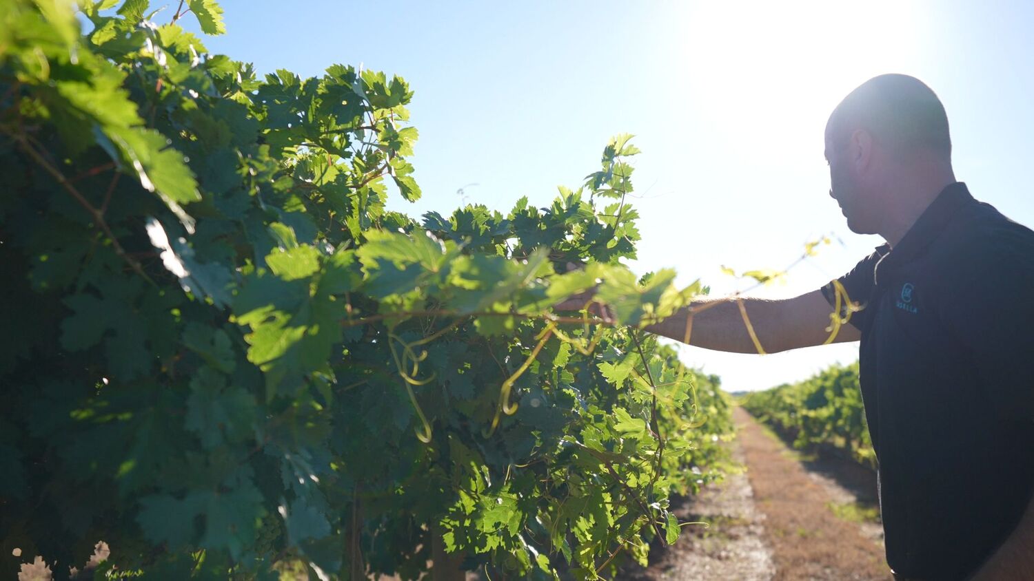 Nature, Outdoors, Countryside, Agriculture, Vegetation, Rural, Farm, Soil, Man, Person