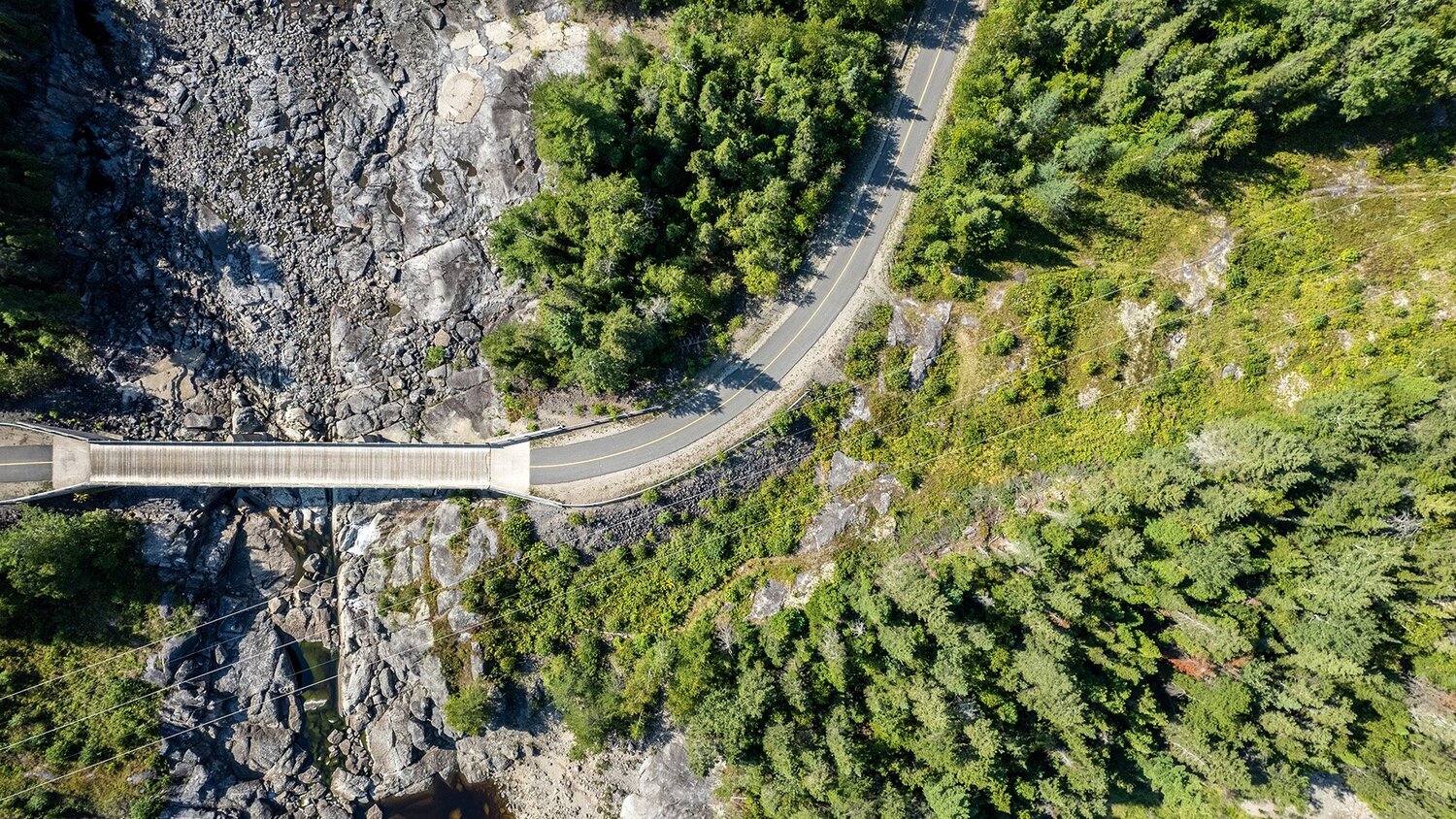Plant, Vegetation, Land, Nature, Outdoors, Tree, Woodland, Road, Aerial View, Bridge