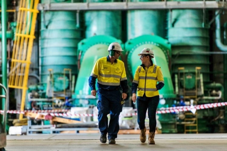 Person, Worker, Adult, Male, Man, Helmet, Clothing, Coat, Jacket, Hardhat