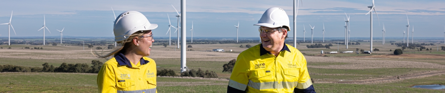 Hardhat, Helmet, Coat, Person, Worker, Adult, Male, Man, Windmill, Motor