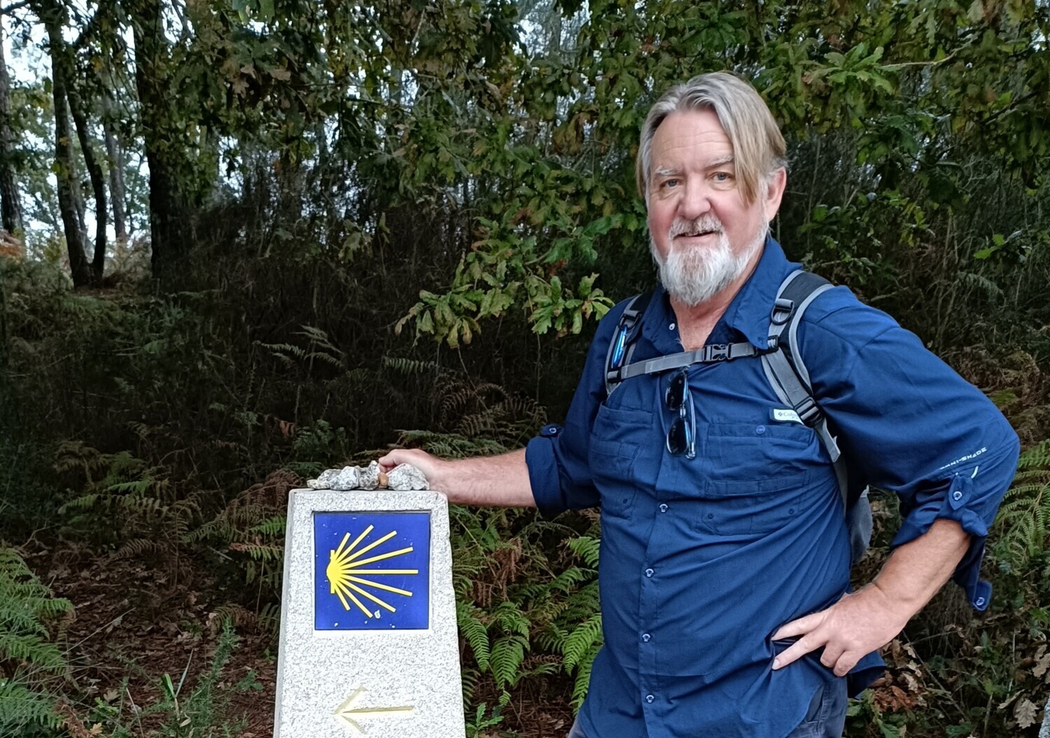 Vegetation, Adult, Male, Man, Person, Tree, Face, Captain, Logo, Woodland