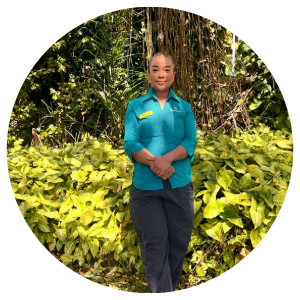 Photography, Vegetation, Person, Portrait, Jungle, Pants, Tree, Standing, Rainforest, Sleeve