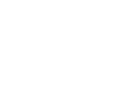 practioner-inquiry-white-icon.png