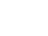 strong-practices-hub-white-icon.png