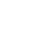 visa-sponsorship-white-icon.png