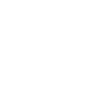 shel-ebrate-white-icon.png